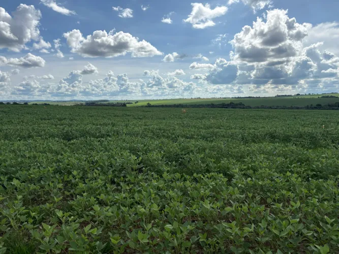 Fazenda Itaberaí 