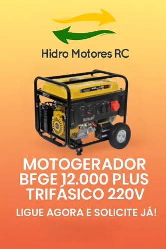 MOTOGERADOR BFGE 12.000 