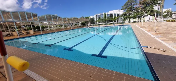 Limpar sua piscina!?
