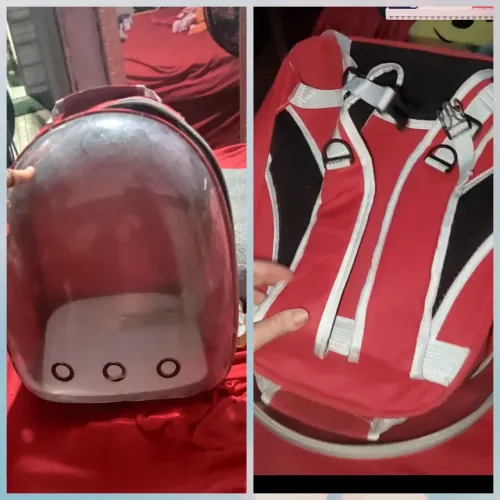 Bolsa pra transportar pet