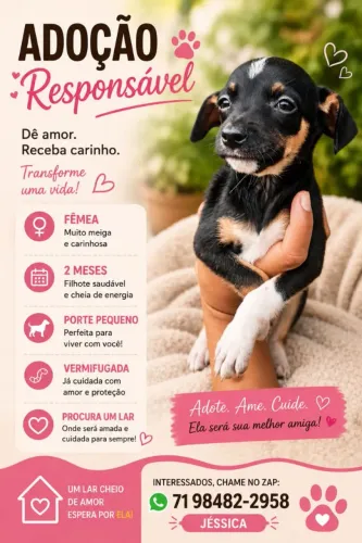 Cachorrinha filhote.