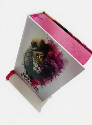 Mini Bíblia