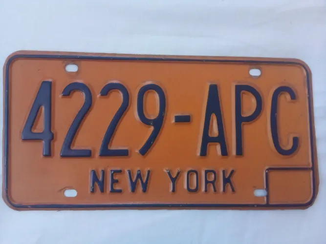 PLACA DE CARRO AMERICANO