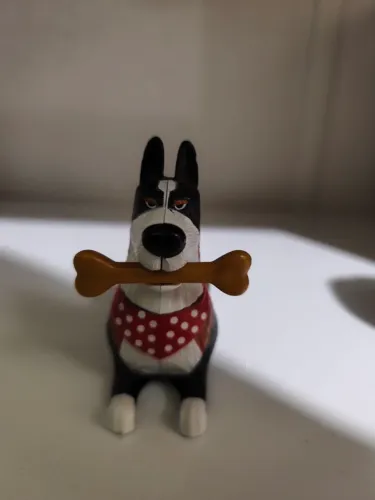 Rooster Pets 2019