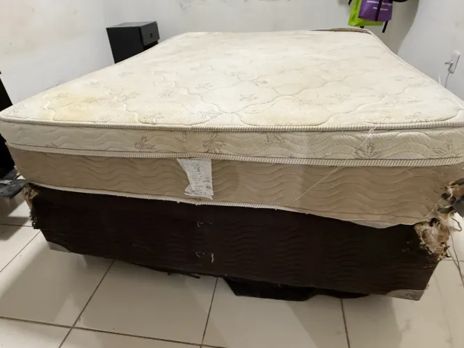 Cama