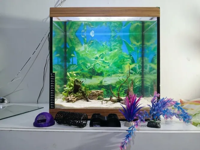 Aquário perfeito 20L