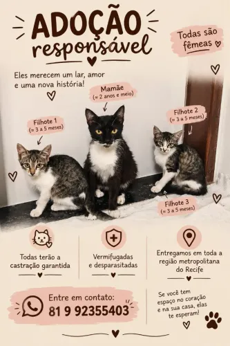 ADOÇÃO RESPONSÁVEL