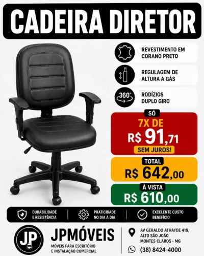 CADEIRA DIRETOR - NOVA