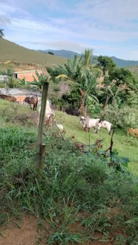 Vendo Terreno 300 metros quadrados