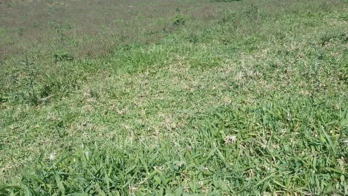 Vendo chácara em Paraibuna.