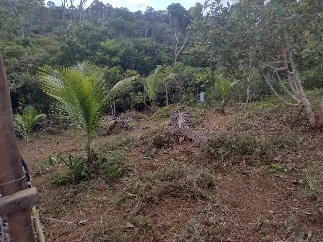 Terreno km.9.são 700 .MT.
