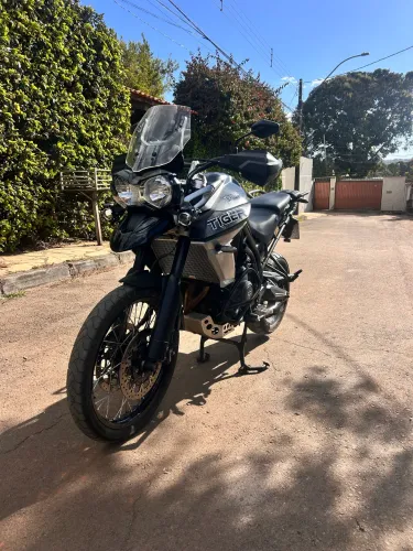 Tiger 800