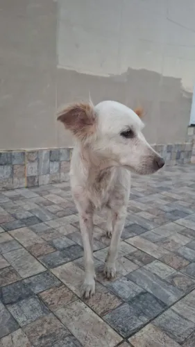 Doação 