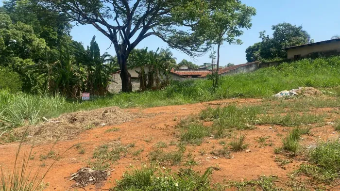 Lote Incrível no Jardim Botânico