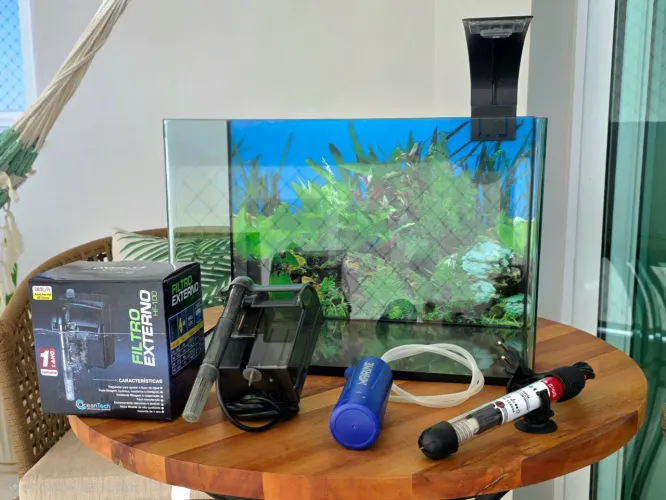 Aquário Premium 20L Completo + Filtro, Termostato e Acessórios (Setup Betta/Neocaridina)