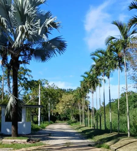 Terreno Plano 142m² em Condomínio Fechado na Ilha de Guaratiba - R$ 39.900 (Aceita Carro!)