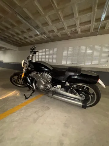 Harley V-Rod Muscle 2013