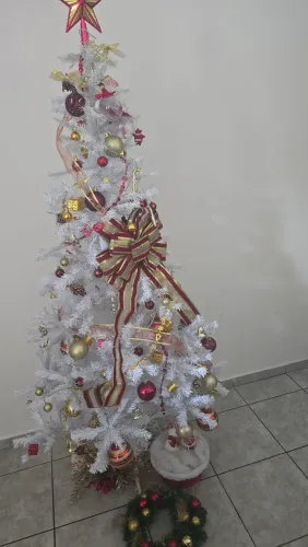 Árvore de Natal usada só 2 Natais