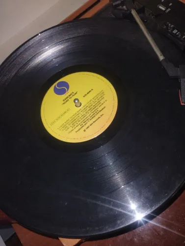 Disco vinil Ramones(sem a capa)Olx pay