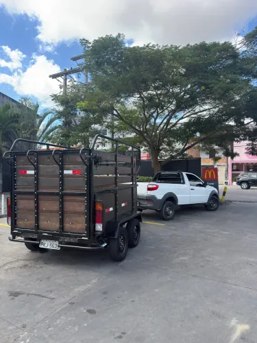 Transporte de animais