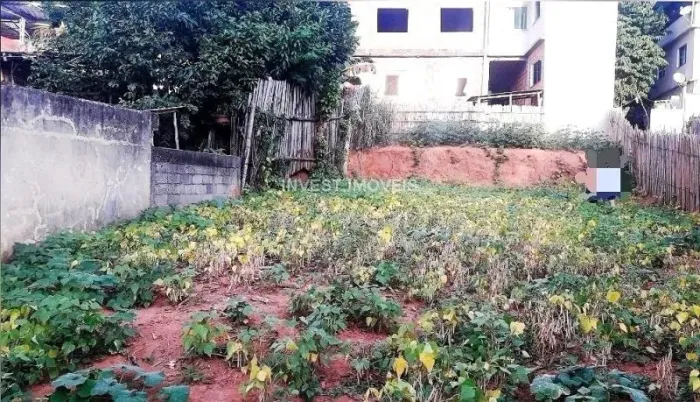 Terreno - Ubá MG