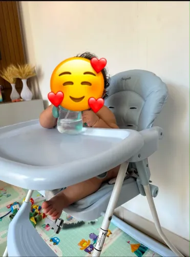 Cadeira de alimentação