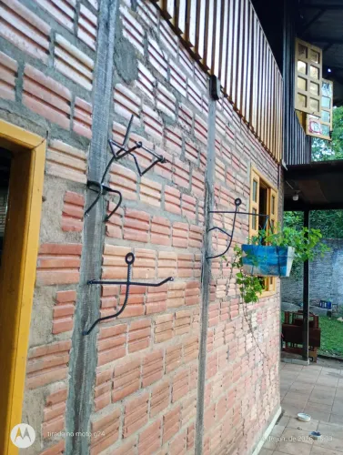 Suporte pra colocar plantas na parede 
