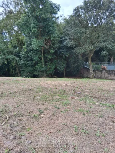 Terreno Santa Catarina Caxias do Sul