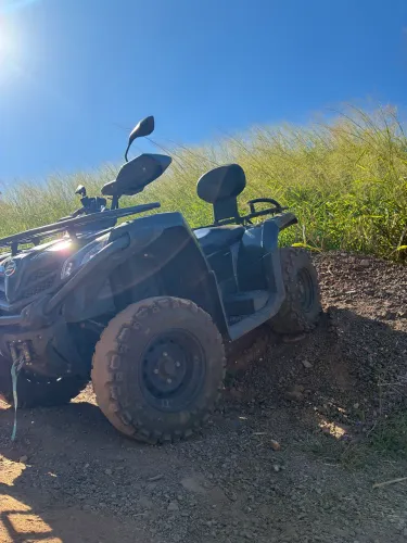 Quadriciclo CFORCE 450L
