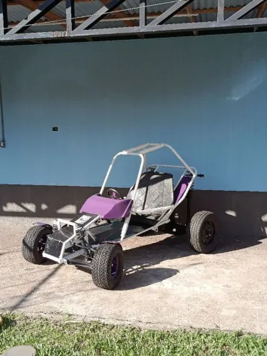 mini bug