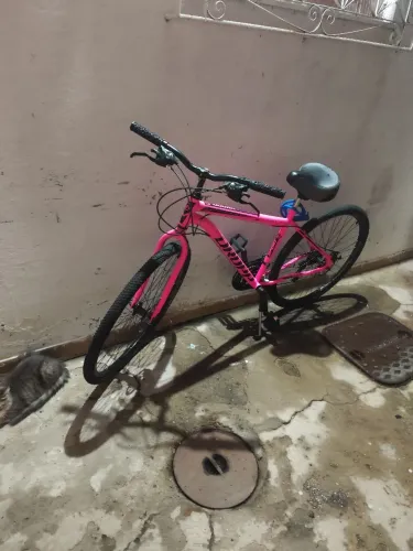 Vendo baile nova mas informações *