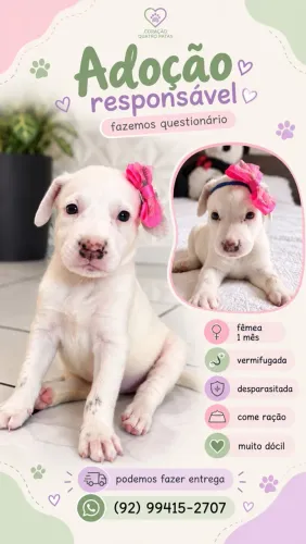 CADELINHA PARA ADOÇÃO