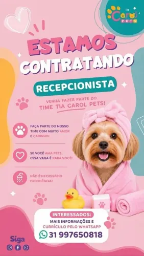 RECEPCIONISTA