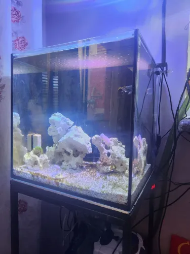 Aquario marinho nano 91 litros
