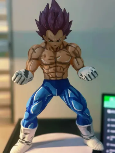 Vegeta ultra ego 29cm