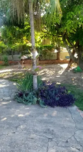 Fazenda/Sítios/Chácaras À Venda Zona Rural Conchas