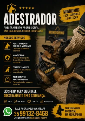 Adestramento de Cães