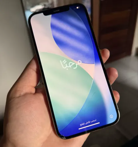 iPhone 12 Pro Max