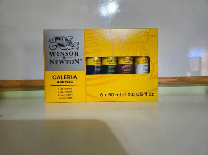 Estojo Tinta Acrílica Galeria Winsor & Newton Profissional 60ml 06 Cores