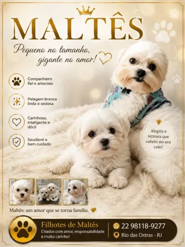 Maltês