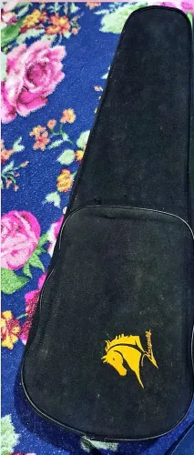 VENDO VIOLINO USADO MARCA MARQUÊS