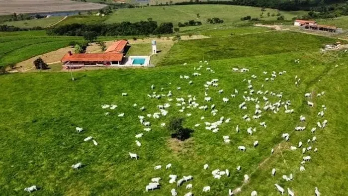Fazenda 70 Alqueires, Formada em Pasto, Ótima Topografia, Solo Misto, Boa de Água, Represa