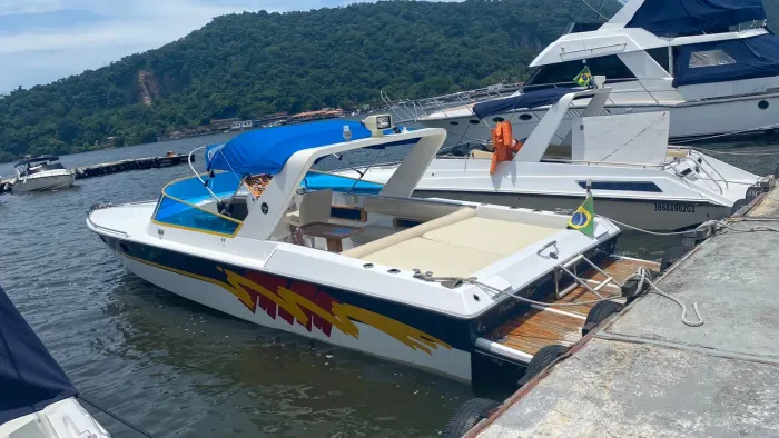 Lancha Panther 33 pés - Potência, Clássico e Confiabilidade