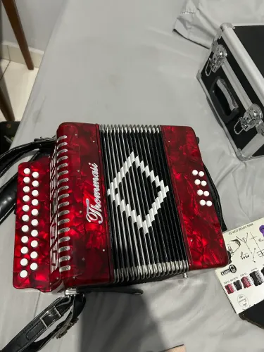 ACORDEON/SANFONA