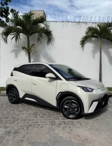 BYD Dolphin Mini (Elétrico) 2025