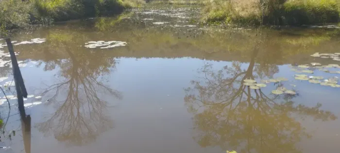 Sítio em Cláudio MG com lagoa de água nascente e pomar adulto.