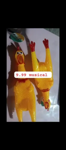 Galinha de borracha GRANDE MUSICAL