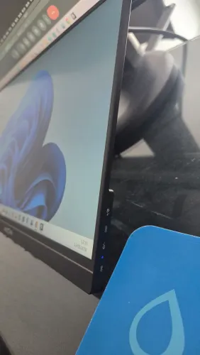 Monitor portátil 19