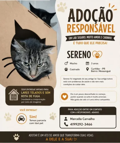 Doação responsável