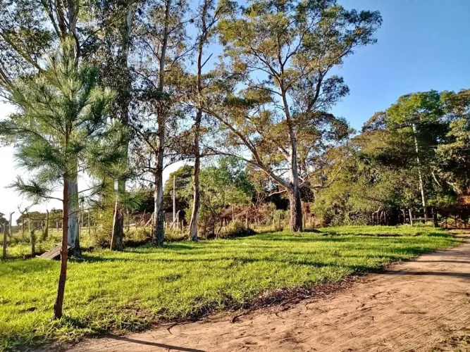 Lote em Águas Claras 